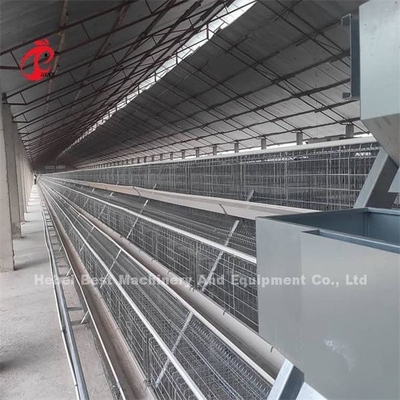 2022 Ắc quy bán chạy Lồng lớp gia cầm, được phủ lớp khung A Lồng 25 năm Emily