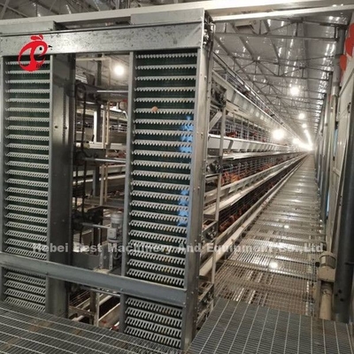 A Loại H Thiết bị nuôi gia cầm tự động cho người chăn nuôi Hệ thống lồng gà Sandy