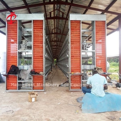 Hệ thống nuôi trứng tự động cho 30,000 nuôi gà Doris