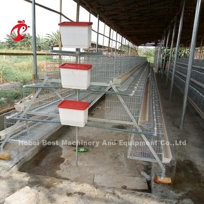 A Loại H Thiết bị nuôi gia cầm tự động cho người chăn nuôi Hệ thống lồng gà Sandy
