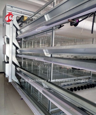 A Loại H Thiết bị nuôi gia cầm tự động cho người chăn nuôi Hệ thống lồng gà Sandy