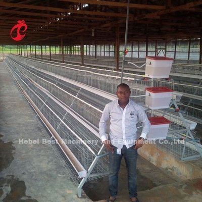 Chuyên nghiệp Lớp pin lồng lắp đặt ở Nigeria tự động lồng gà Doris
