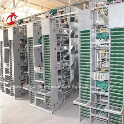 Thiết kế hiện đại Lớp pin chuồng loại H Chuồng trang trại gia cầm ISO14001 Emily