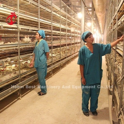 Thiết kế hiện đại Lớp pin chuồng loại H Chuồng trang trại gia cầm ISO14001 Emily