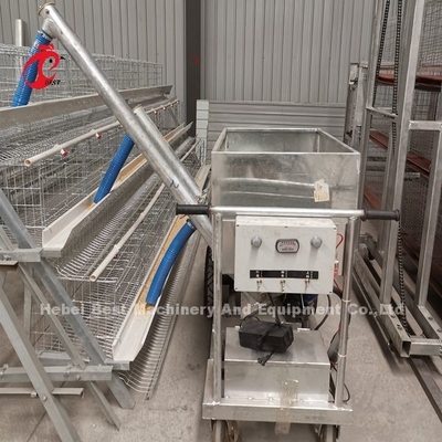 Chuồng nuôi gia cầm bán tự động 15000 con chim Hướng dẫn sử dụng lồng nuôi gia cầm ở Nigeria Iris