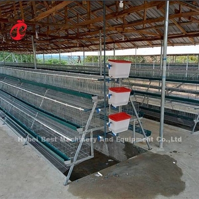 Giá lồng pin loại H cao cấp ở Nigeria Ổn định Iris