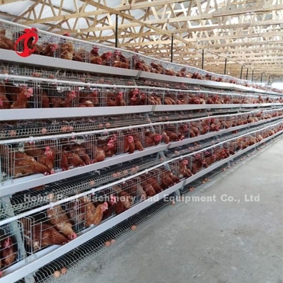 Thiết kế nhà Toughness Đặt hệ thống lồng pin gà với mống mắt lưới lồng