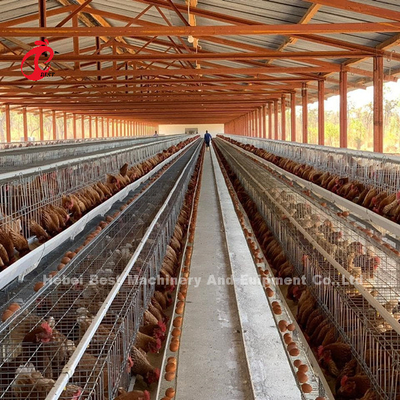 Hệ thống lồng gà bằng pin tự động 120 lồng với bề mặt nhựa Adela