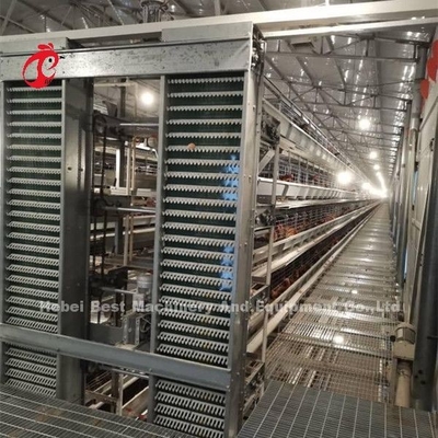 Sản phẩm gia súc gia súc được sơn bằng galvanized cho 20,000 chim