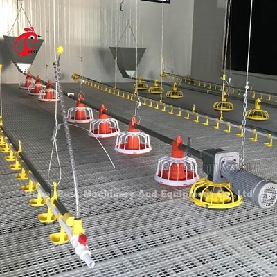 Lồng gà thịt tự động với hệ thống uống nước bằng khay nạp liệu trên sàn Emily