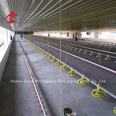 Lồng gà thịt tự động với hệ thống uống nước bằng khay nạp liệu trên sàn Emily