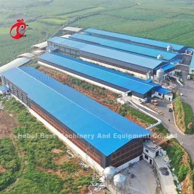 Hệ thống lồng pin gia cầm tự động Dây bọc với tuổi thọ dài Nigeria Sandy