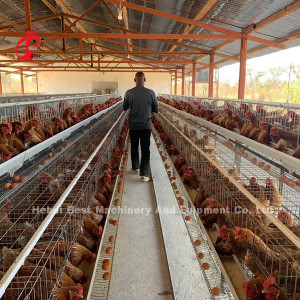 Uganda 4 tầng Lồng nuôi gia cầm để bán ở trang trại Gà 100 KG Mia