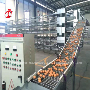 Lồng pin gà tự động 3 tầng 4 tầng cho gà đẻ Mía