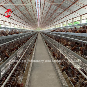 Trang trại chăn nuôi gia cầm đẻ tốt nhất Lồng gà cho gà đẻ 4 tầng Mia