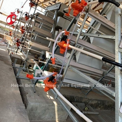 Giá tốt Hệ thống lồng nuôi lớp mạ kẽm nóng Loại A Bán Adela