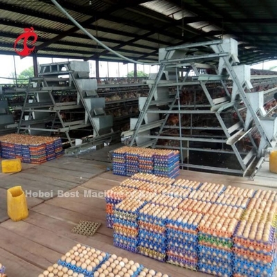 Hệ thống lồng nuôi gà bằng pin thương mại hoàn toàn tự động CE Adela