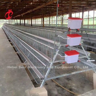 Hệ thống lồng pin cho gà thương mại 2.0m * 2.0m * 1.45m ở Nigeria Star