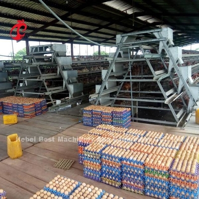 Dự án chìa khóa trao tay Hệ thống lồng pin gia cầm tự động 3 tầng 450cm2 sao