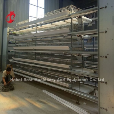 Hoàn thành Lồng pin gà tự động loại H Loại 500 Con chim Adela