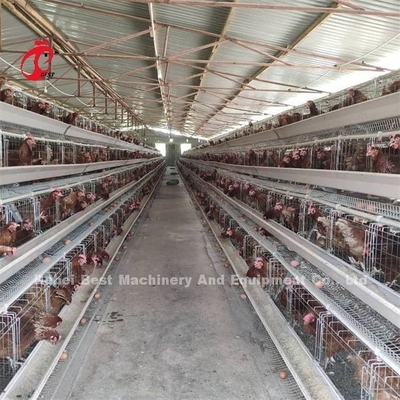 Hệ thống lồng pin tự động giá rẻ Sản xuất bằng galvanized nóng 25 tuổi thọ 450cm2 Ở Nigeria Emily