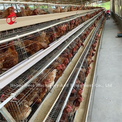 Hệ thống lồng pin tự động giá rẻ Sản xuất bằng galvanized nóng 25 tuổi thọ 450cm2 Ở Nigeria Emily