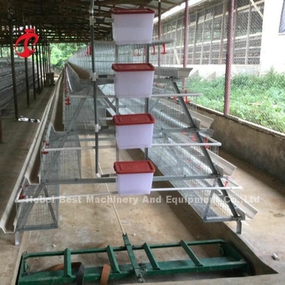 Hệ thống lồng pin tự động lớp tự động Lồng gà 3 tầng bán hàng nóng Hoa hồng
