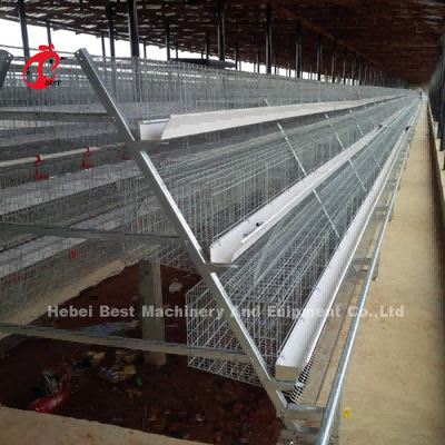 Trang trại gia cầm mạ kẽm nhúng nóng 3 tầng Lồng gà, lồng gà đẻ bán nóng Mia