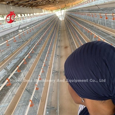 Thợ nuôi gia cầm nhựa lớp lồng pin lồng giá ở Nigeria Lagos Kho Emily