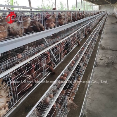Giá lồng pin lớp hiệu quả ở Nigeria Emily