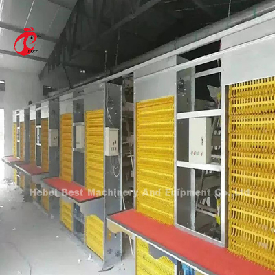 Được sử dụng rộng rãi bằng dây sắt Lồng gia cầm cho gà Mía thương mại