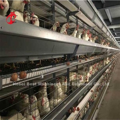 Được sử dụng rộng rãi bằng dây sắt Lồng gia cầm cho gà Mía thương mại