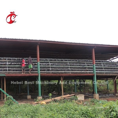 110kg Chicken Battery Cage với 450cm2 Khu vực / chim Adela