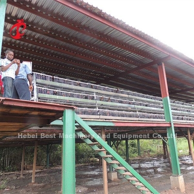 Một loại gà thịt dùng pin Lồng nuôi gia cầm ISO14001 Doris