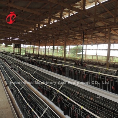 Lồng pin gà lớp A loại 3 tầng 120 con 450cm2 sao
