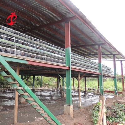 Bộ pin nuôi gia cầm hệ thống lồng giảm nhiệt độ cho các lớp sao