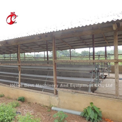 Bộ pin nuôi gia cầm hệ thống lồng giảm nhiệt độ cho các lớp sao