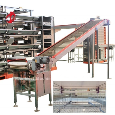 Bán nóng Lồng gà dùng pin Lồng gà mẹ Lồng gà thịt Trang trại gia cầm ở Châu Phi Mia