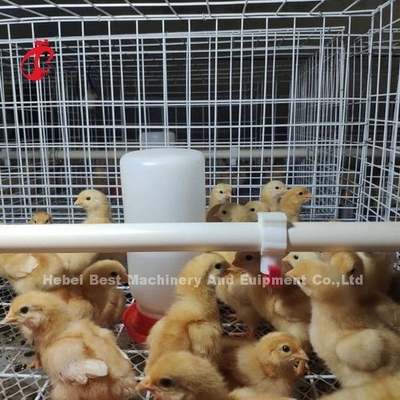 Thiết bị trang trại gia cầm loại H-Battery Chicken Cage System For Broiler Mia