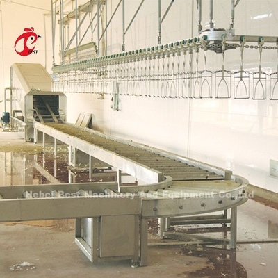 Hệ thống chế biến gà thịt 220V 4kw, Ss 304 Thiết bị giết mổ gà Doris