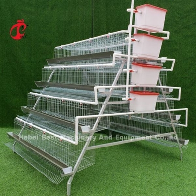 10000 lớp Gà lớp pin Lồng bán tự động Tiết kiệm không gian Adela