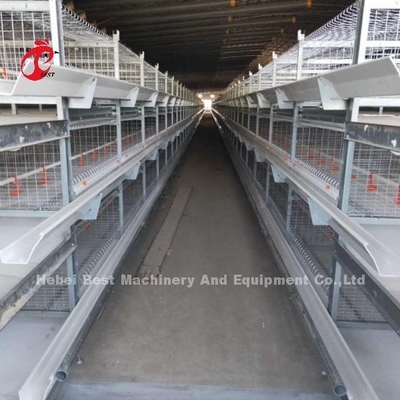 Lồng gà thịt loại H CE, Thiết bị lồng nuôi gà thịt hoàn toàn tự động Adela