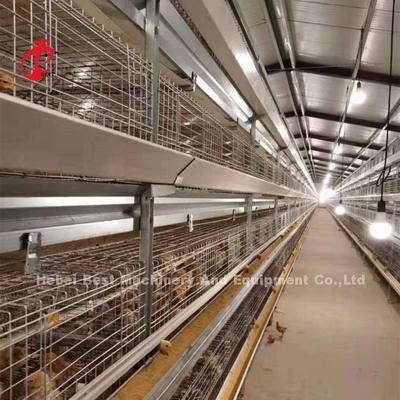 Lồng gà thịt loại H CE, Thiết bị lồng nuôi gà thịt hoàn toàn tự động Adela