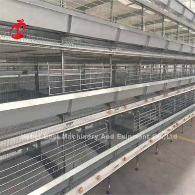 Lồng pin 120 gà loại A của thiết bị gia cầm Mia