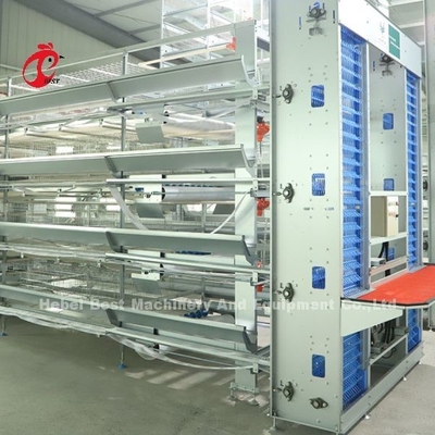 Tự động tùy biến Lớp ổn định Lò nuôi gia cầm Cage pin kích thước lớn hơn Rose