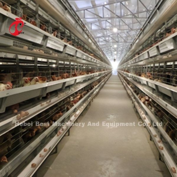 Hệ thống lồng pin gà tự động đầy đủ loại H với tuổi thọ 25 năm