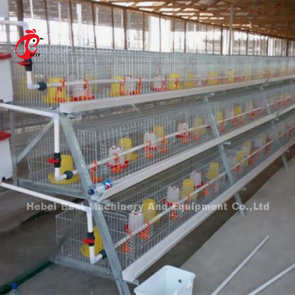 Lồng pin cho gà con ngày tuổi cho gà thịt 3 hoặc 4 bậc mống mắt mạ kẽm