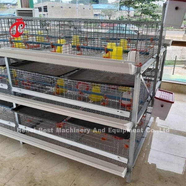 Lồng gà thịt loại A hoặc H 96 Công suất gà thịt trưởng thành Emily