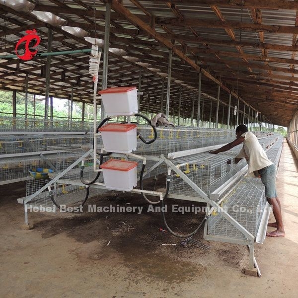 CE A Loại 120 Lồng nuôi chim Gà có Người uống rượu và Người cho ăn Ngôi sao