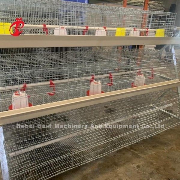 Q235 A Loại 3 tầng Pullet Gà Lồng Adela bạc mạ kẽm